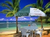 海滩/大排挡/娱乐活动塑料桌椅