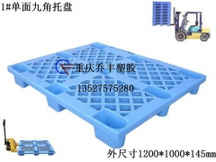 重庆(塑料栈板或塑料垫仓板) -图片解析
