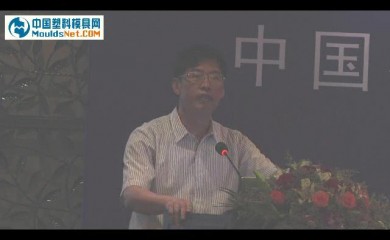黄岩经贸局局长王志和在中国模协理事会介绍黄岩模具十二五规划