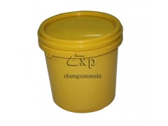专业提供乳胶桶模具 塑料桶模具 油漆桶模具 桶模具