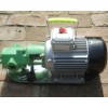 微型手提式齿轮油泵|不锈钢微型齿轮泵|手提式齿轮泵