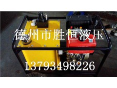 机动泵专业生产厂家/机动泵品牌/机动泵价格/胜恒供