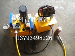 24V电动泵订购/24v电动泵价格/24v电动泵厂家/胜恒供