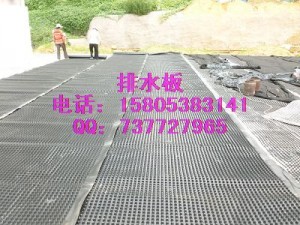 屋顶绿化排水板天津蓄排水板土工布供应