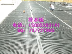 供应北京车库排水板/凹凸排水板土工布供应