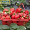 草莓水果筐模具厂家 台州黄岩杨梅筐模具加工制造 价格实惠