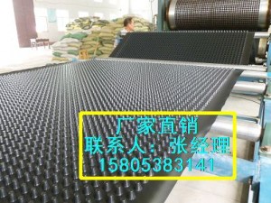 湖南排水板郴州小区绿化排水板排疏板厂家直销