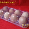 河南鸡蛋包装盒