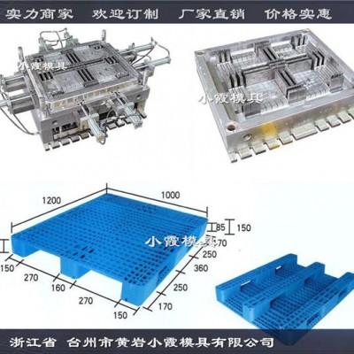 中国塑料模具加工平板川字PE地板模具